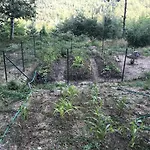Casa Martino 木屋