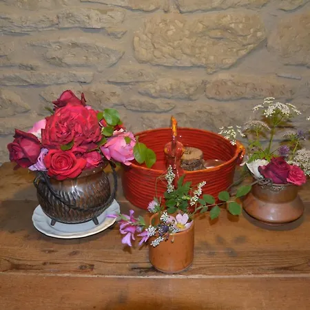 Casa Martino Alpehytte *