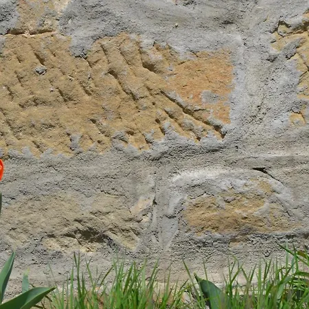 Alpehytte Casa Martino